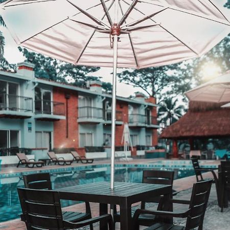 Hotel Y Restaurante Meson Del Gitano Caucasia Extérieur photo